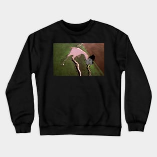 Benalla Landscape : aerial photograph Crewneck Sweatshirt